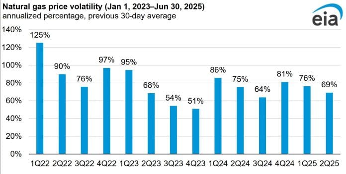 Price volatily_Jan 2023 to June 2025
