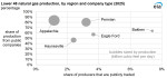 EIA_Public companies_Natural Gas